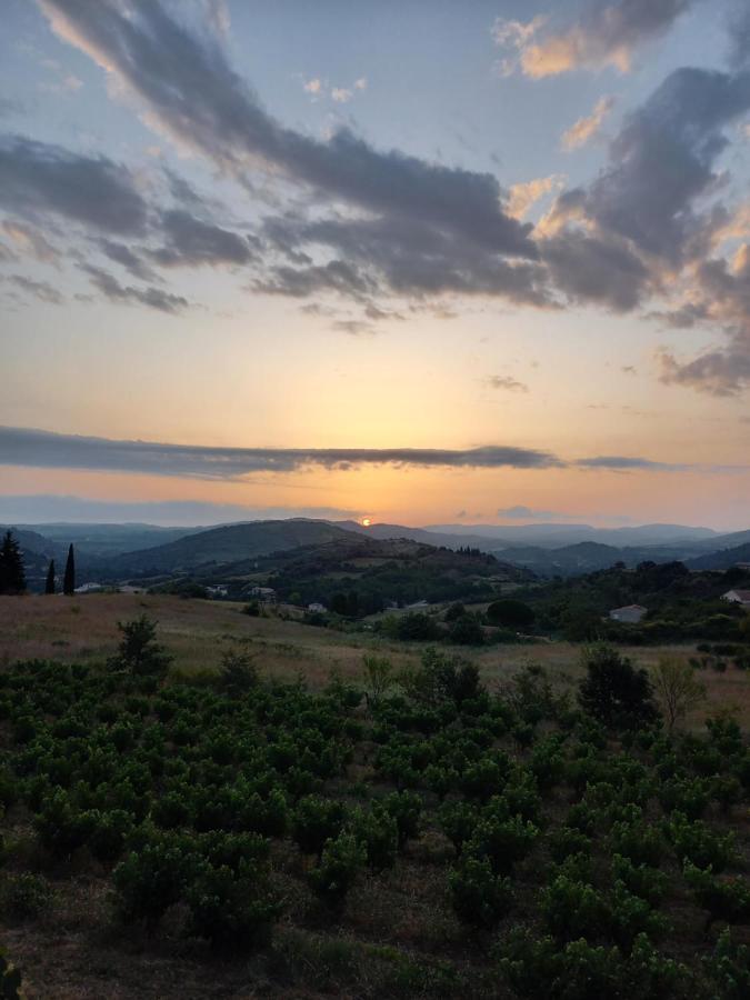 Gite Vigneron Du Domaine D'Alon Magrie 外观 照片