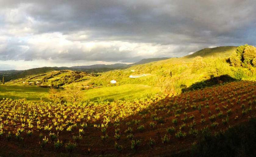 Gite Vigneron Du Domaine D'Alon Magrie 外观 照片