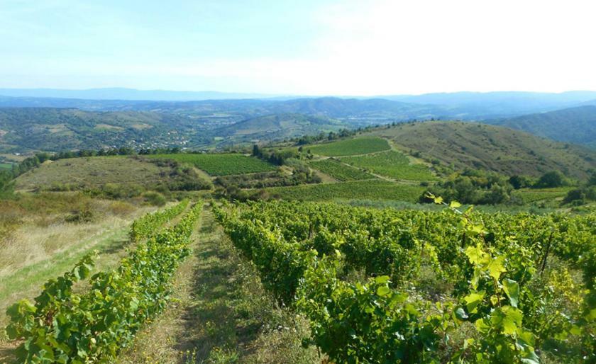 Gite Vigneron Du Domaine D'Alon Magrie 外观 照片