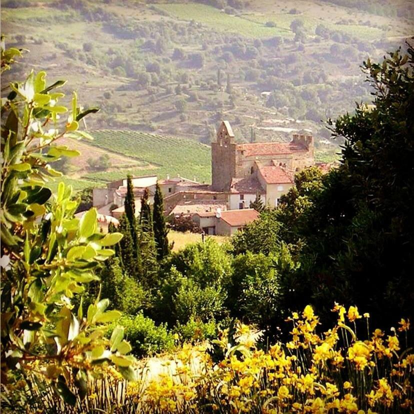 Gite Vigneron Du Domaine D'Alon Magrie 外观 照片