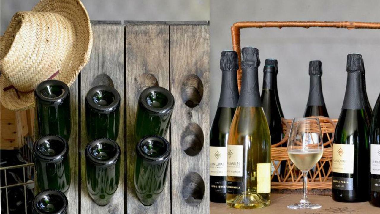 Gite Vigneron Du Domaine D'Alon Magrie 外观 照片