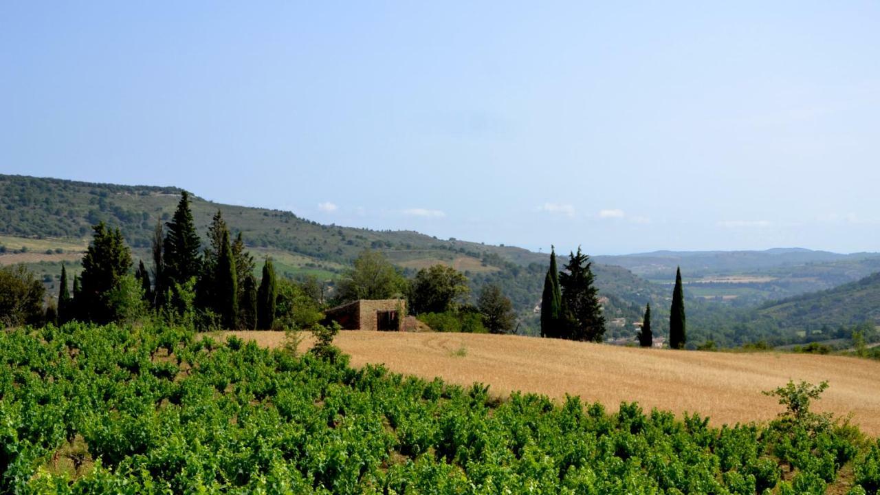 Gite Vigneron Du Domaine D'Alon Magrie 外观 照片