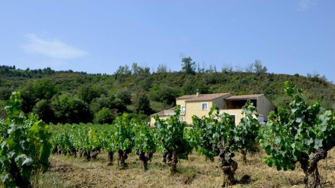 Gite Vigneron Du Domaine D'Alon Magrie 外观 照片